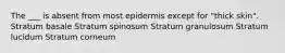 The ___ is absent from most epidermis except for "thick skin". Stratum basale Stratum spinosum Stratum granulosum Stratum lucidum Stratum corneum