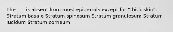 The ___ is absent from most epidermis except for "thick skin". Stratum basale Stratum spinosum Stratum granulosum Stratum lucidum Stratum corneum