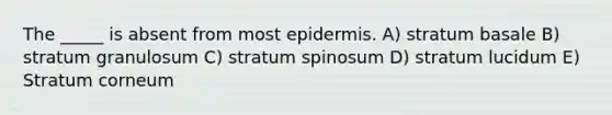 The _____ is absent from most epidermis. A) stratum basale B) stratum granulosum C) stratum spinosum D) stratum lucidum E) Stratum corneum