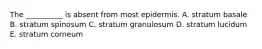 The __________ is absent from most epidermis. A. stratum basale B. stratum spinosum C. stratum granulosum D. stratum lucidum E. stratum corneum