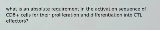 what is an absolute requirement in the activation sequence of CD8+ cells for their proliferation and differentiation into CTL effectors?