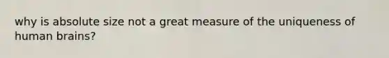 why is absolute size not a great measure of the uniqueness of human brains?