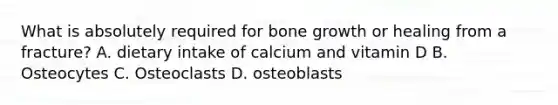 What is absolutely required for bone growth or healing from a fracture? A. dietary intake of calcium and vitamin D B. Osteocytes C. Osteoclasts D. osteoblasts