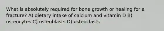 What is absolutely required for bone growth or healing for a fracture? A) dietary intake of calcium and vitamin D B) osteocytes C) osteoblasts D) osteoclasts