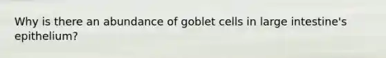 Why is there an abundance of goblet cells in large intestine's epithelium?