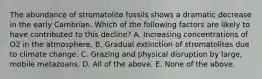 The abundance of stromatolite fossils shows a dramatic decrease in the early Cambrian. Which of the following factors are likely to have contributed to this decline? A. Increasing concentrations of O2 in the atmosphere. B. Gradual extinction of stromatolites due to climate change. C. Grazing and physical disruption by large, mobile metazoans. D. All of the above. E. None of the above.