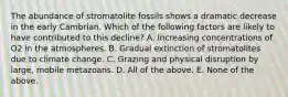 The abundance of stromatolite fossils shows a dramatic decrease in the early Cambrian. Which of the following factors are likely to have contributed to this decline? A. Increasing concentrations of O2 in the atmospheres. B. Gradual extinction of stromatolites due to climate change. C. Grazing and physical disruption by large, mobile metazoans. D. All of the above. E. None of the above.