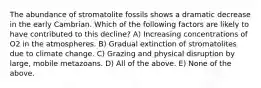 The abundance of stromatolite fossils shows a dramatic decrease in the early Cambrian. Which of the following factors are likely to have contributed to this decline? A) Increasing concentrations of O2 in the atmospheres. B) Gradual extinction of stromatolites due to climate change. C) Grazing and physical disruption by large, mobile metazoans. D) All of the above. E) None of the above.