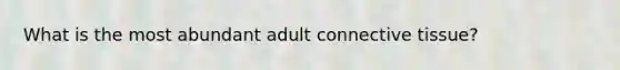 What is the most abundant adult connective tissue?