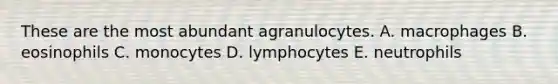 These are the most abundant agranulocytes. A. macrophages B. eosinophils C. monocytes D. lymphocytes E. neutrophils