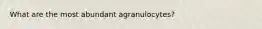 What are the most abundant agranulocytes?