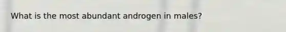 What is the most abundant androgen in males?