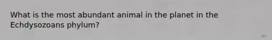 What is the most abundant animal in the planet in the Echdysozoans phylum?