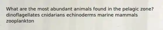 What are the most abundant animals found in the pelagic zone? dinoflagellates cnidarians echinoderms marine mammals zooplankton