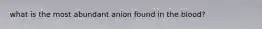 what is the most abundant anion found in the blood?