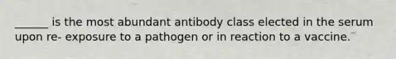 ______ is the most abundant antibody class elected in the serum upon re- exposure to a pathogen or in reaction to a vaccine.