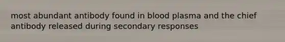 most abundant antibody found in blood plasma and the chief antibody released during secondary responses