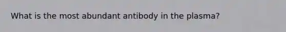 What is the most abundant antibody in the plasma?