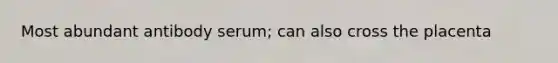 Most abundant antibody serum; can also cross the placenta