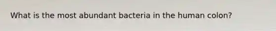 What is the most abundant bacteria in the human colon?