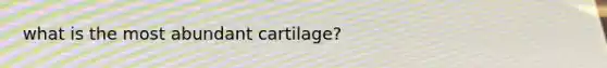 what is the most abundant cartilage?