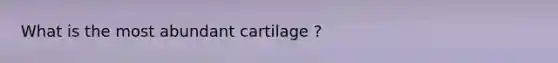 What is the most abundant cartilage ?