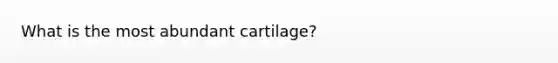 What is the most abundant cartilage?