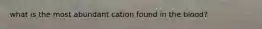 what is the most abundant cation found in the blood?