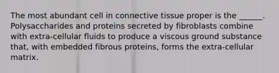 The most abundant cell in <a href='https://www.questionai.com/knowledge/kYDr0DHyc8-connective-tissue' class='anchor-knowledge'>connective tissue</a> proper is the ______. Polysaccharides and proteins secreted by fibroblasts combine with extra-cellular fluids to produce a viscous ground substance that, with embedded fibrous proteins, forms the extra-cellular matrix.