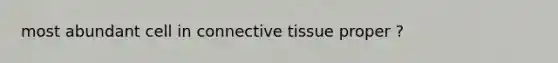 most abundant cell in connective tissue proper ?