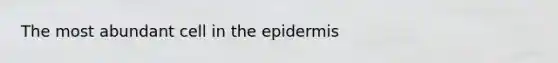 The most abundant cell in <a href='https://www.questionai.com/knowledge/kBFgQMpq6s-the-epidermis' class='anchor-knowledge'>the epidermis</a>