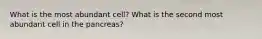 What is the most abundant cell? What is the second most abundant cell in the pancreas?