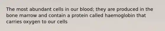 The most abundant cells in our blood; they are produced in the bone marrow and contain a protein called haemoglobin that carries oxygen to our cells