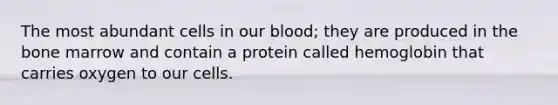 The most abundant cells in our blood; they are produced in the bone marrow and contain a protein called hemoglobin that carries oxygen to our cells.