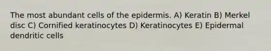 The most abundant cells of the epidermis. A) Keratin B) Merkel disc C) Cornified keratinocytes D) Keratinocytes E) Epidermal dendritic cells