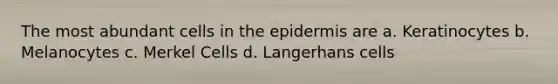 The most abundant cells in the epidermis are a. Keratinocytes b. Melanocytes c. Merkel Cells d. Langerhans cells