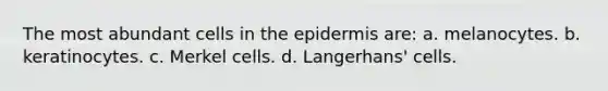 The most abundant cells in <a href='https://www.questionai.com/knowledge/kBFgQMpq6s-the-epidermis' class='anchor-knowledge'>the epidermis</a> are: a. melanocytes. b. keratinocytes. c. Merkel cells. d. Langerhans' cells.