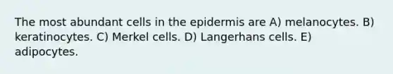 The most abundant cells in the epidermis are A) melanocytes. B) keratinocytes. C) Merkel cells. D) Langerhans cells. E) adipocytes.