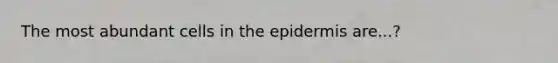 The most abundant cells in the epidermis are...?