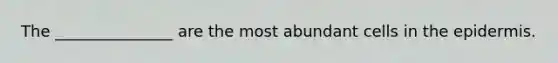 The _______________ are the most abundant cells in <a href='https://www.questionai.com/knowledge/kBFgQMpq6s-the-epidermis' class='anchor-knowledge'>the epidermis</a>.