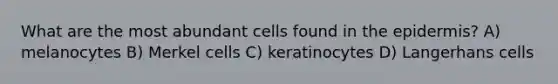 What are the most abundant cells found in the epidermis? A) melanocytes B) Merkel cells C) keratinocytes D) Langerhans cells