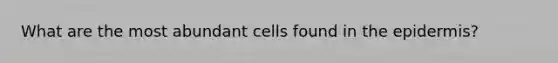 What are the most abundant cells found in the epidermis?