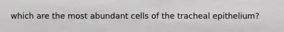 which are the most abundant cells of the tracheal epithelium?