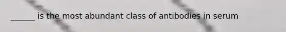 ______ is the most abundant class of antibodies in serum