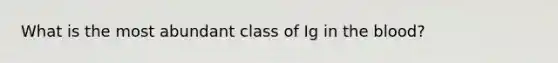 What is the most abundant class of Ig in the blood?