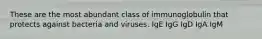 These are the most abundant class of immunoglobulin that protects against bacteria and viruses. IgE IgG IgD IgA IgM