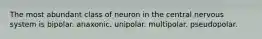 The most abundant class of neuron in the central nervous system is bipolar. anaxonic. unipolar. multipolar. pseudopolar.