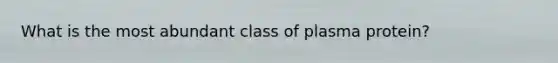 What is the most abundant class of plasma protein?