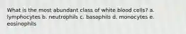 What is the most abundant class of white blood cells? a. lymphocytes b. neutrophils c. basophils d. monocytes e. eosinophils