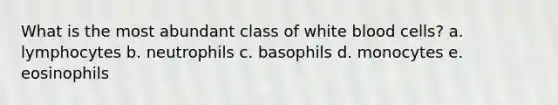 What is the most abundant class of white blood cells? a. lymphocytes b. neutrophils c. basophils d. monocytes e. eosinophils